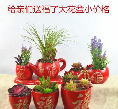 六福 五福陶瓷花盆 带托盘有底孔出水方便花卉盆栽植物用