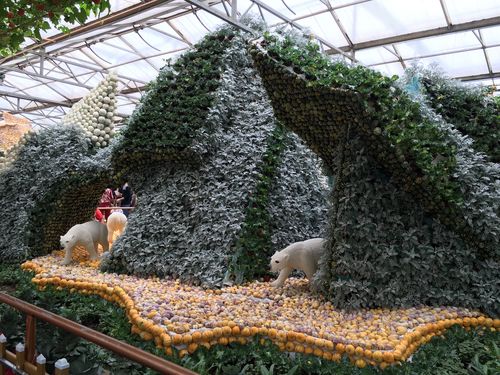 寿光蔬菜世界园艺博览会,所有的造型都是用农作物制作而成,形状逼真
